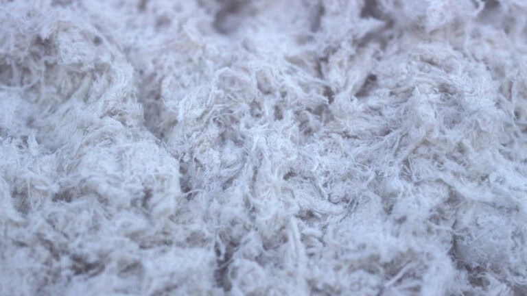 Asbestos / Mesothelioma